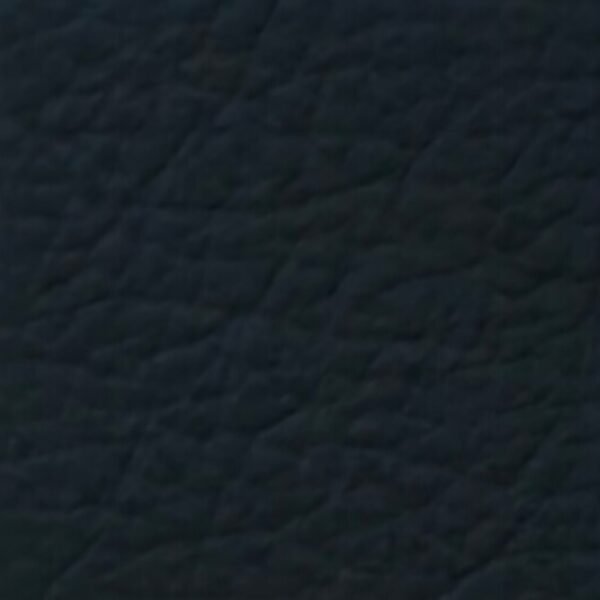 BLOOM BLACK #21