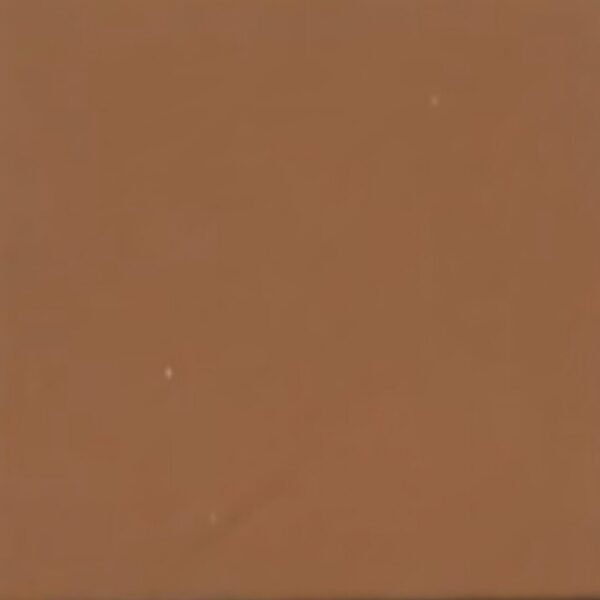 EUROPEAN SOFT NAPPA TOFFEE #107