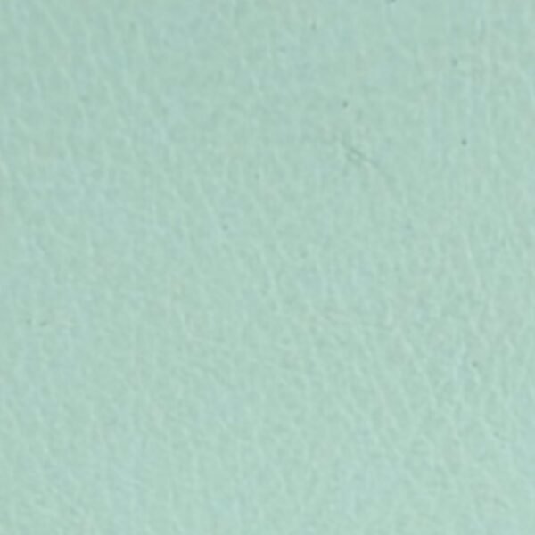 EUROPEAN SOFT NAPPA VANNILA CREAM #72