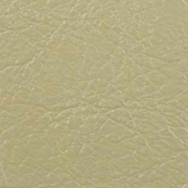 PLATINUM MAX CORAL BEIGE LPM#135NP
