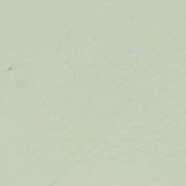 SMOOTHY NAPPA IVORY #303